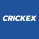 Fly High with Crickex Aviator App: Seamless Play